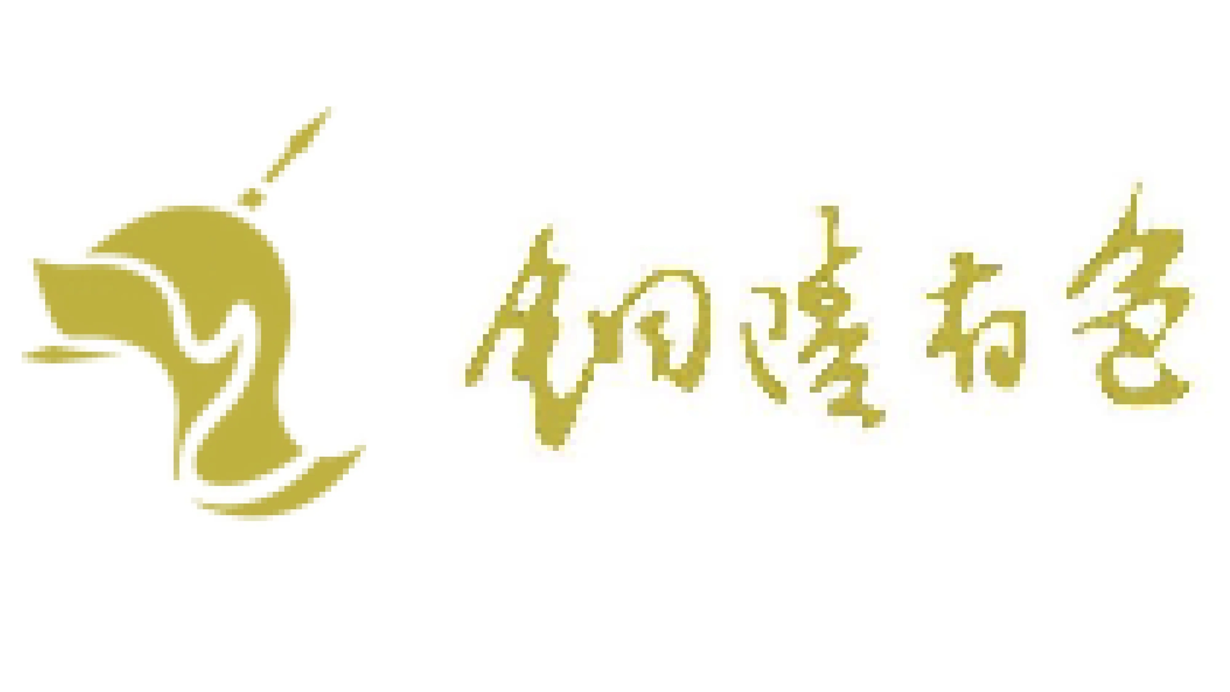 파트너